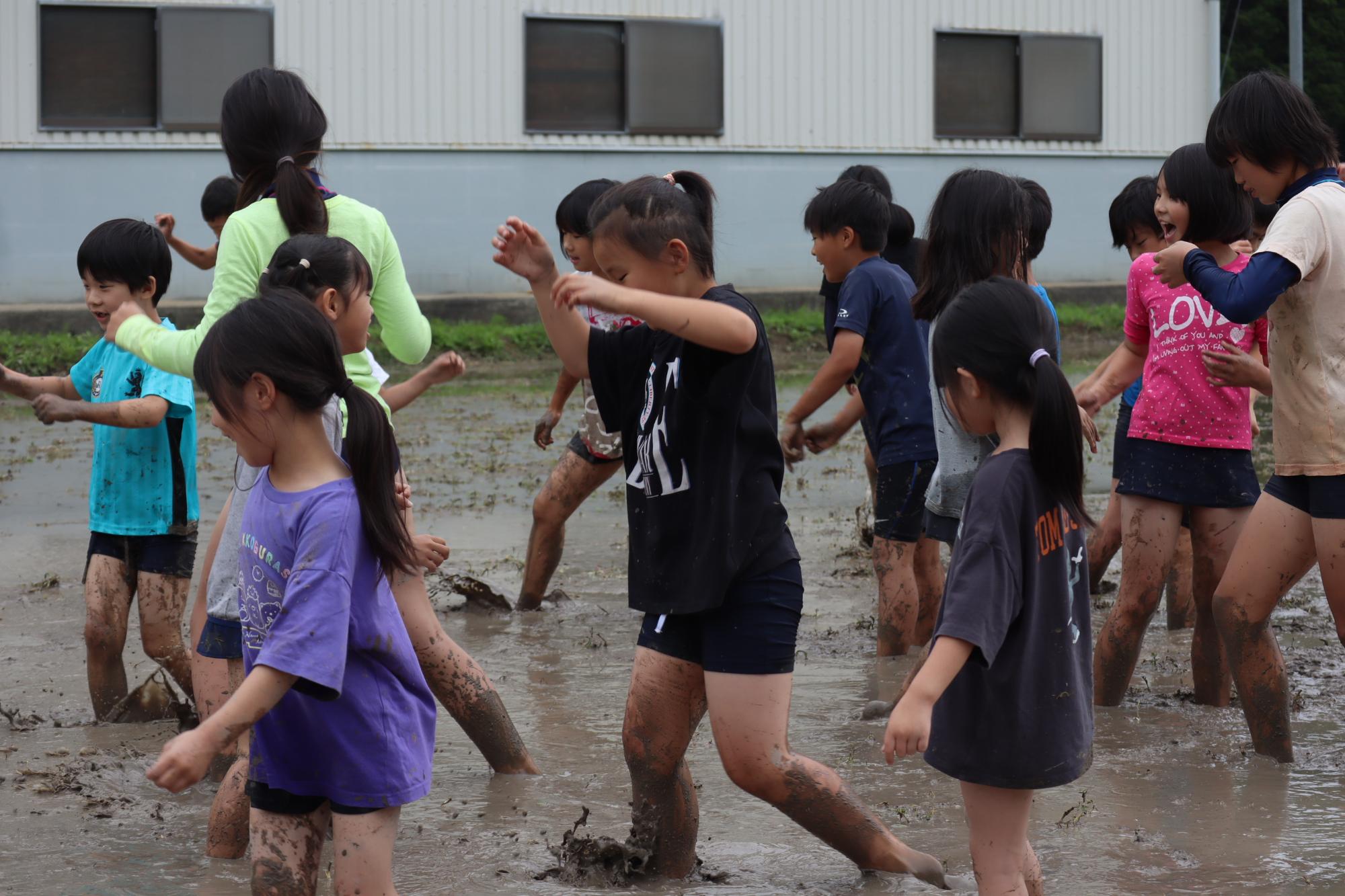 どろんこよっちょれ