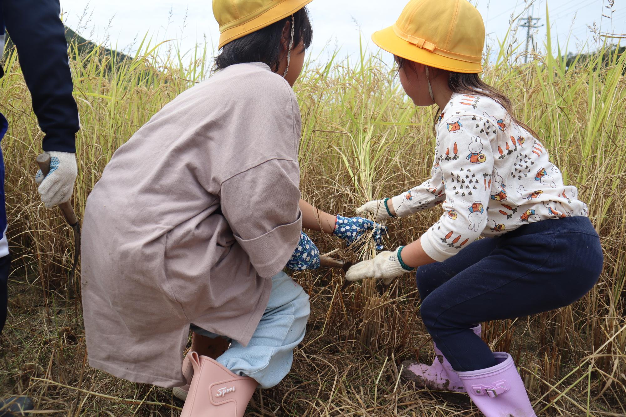6年生と1年生が協力する様子