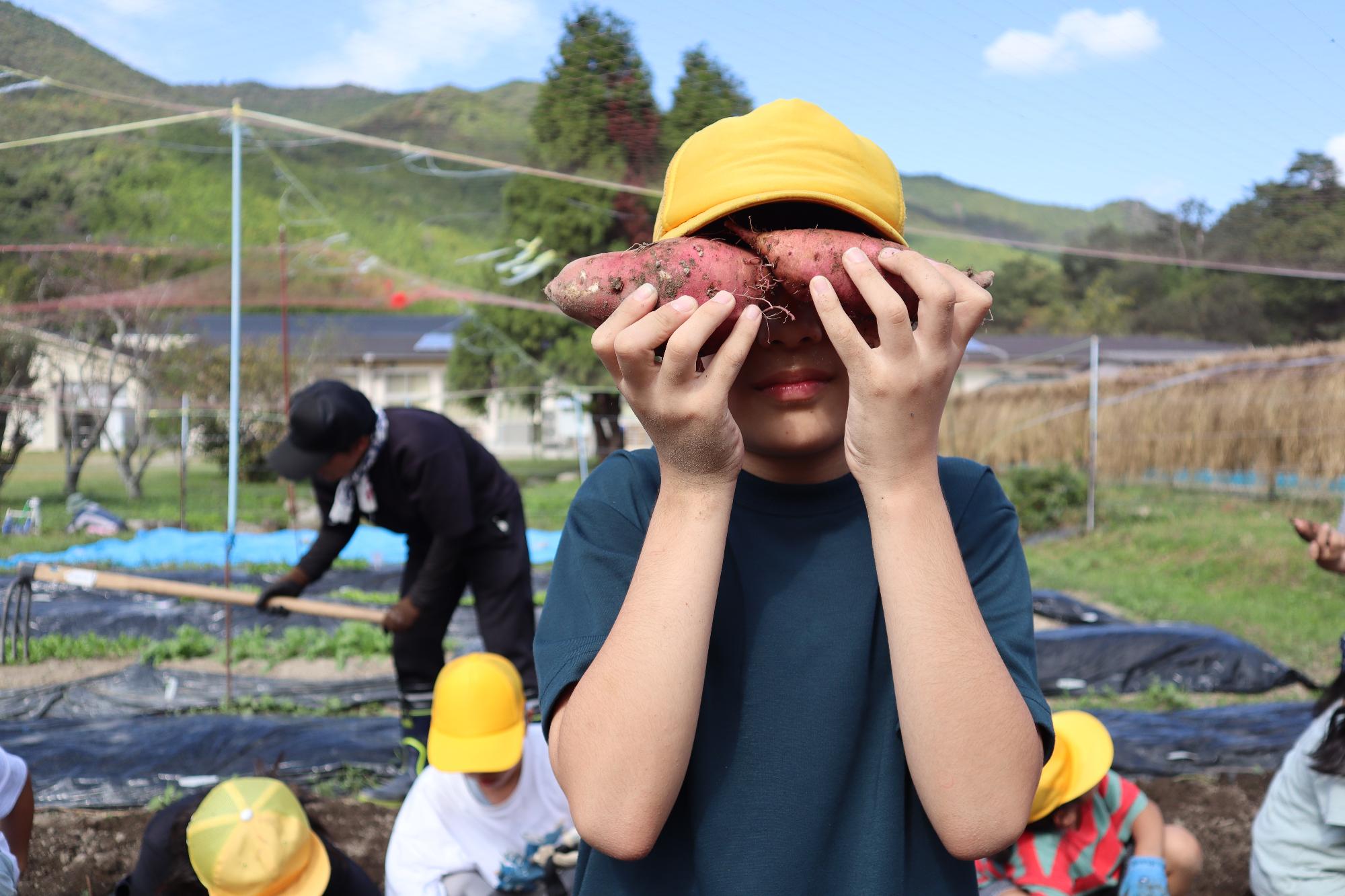 見て見て大きなサツマイモ！