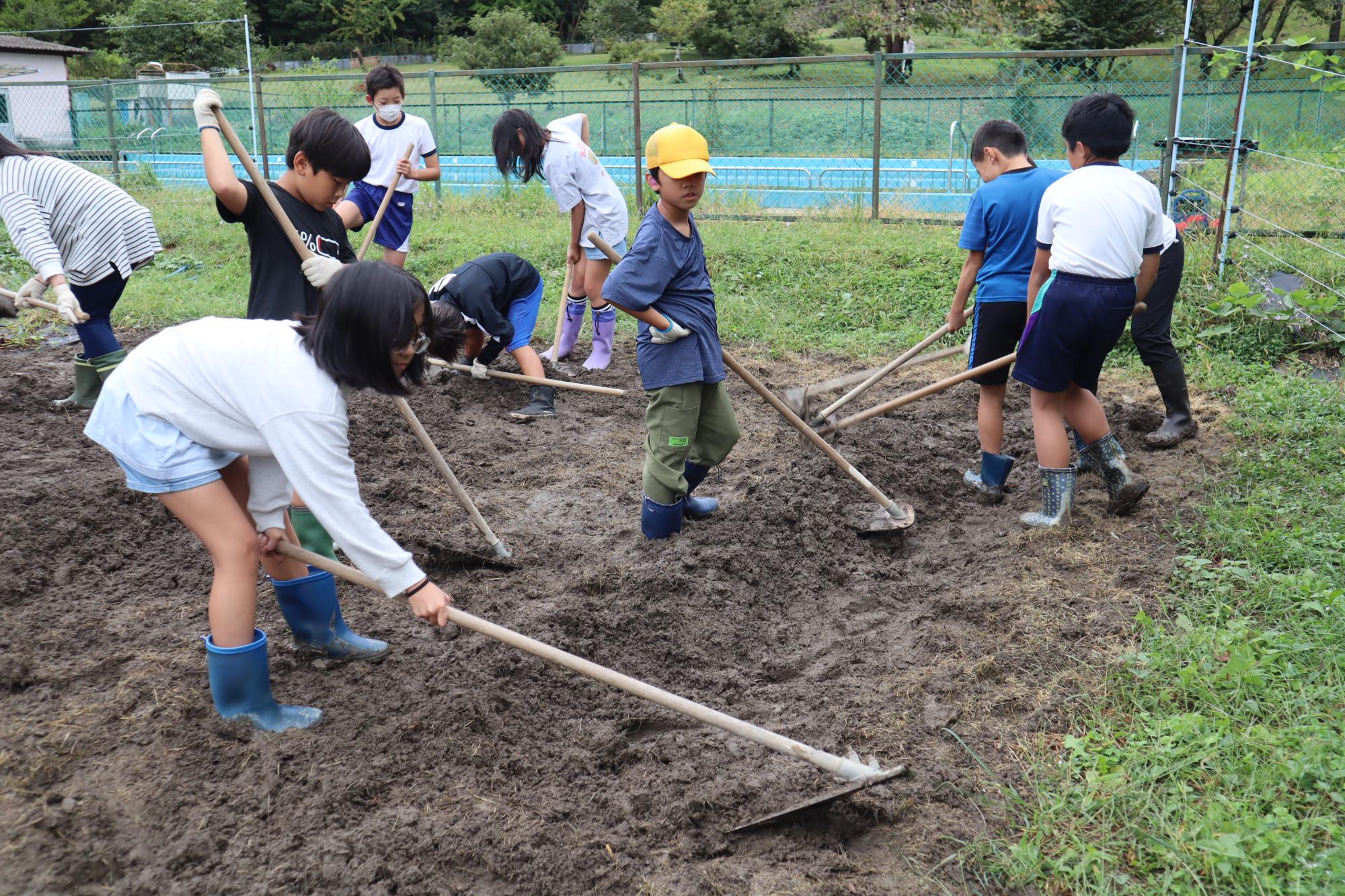 うね作り2024　1