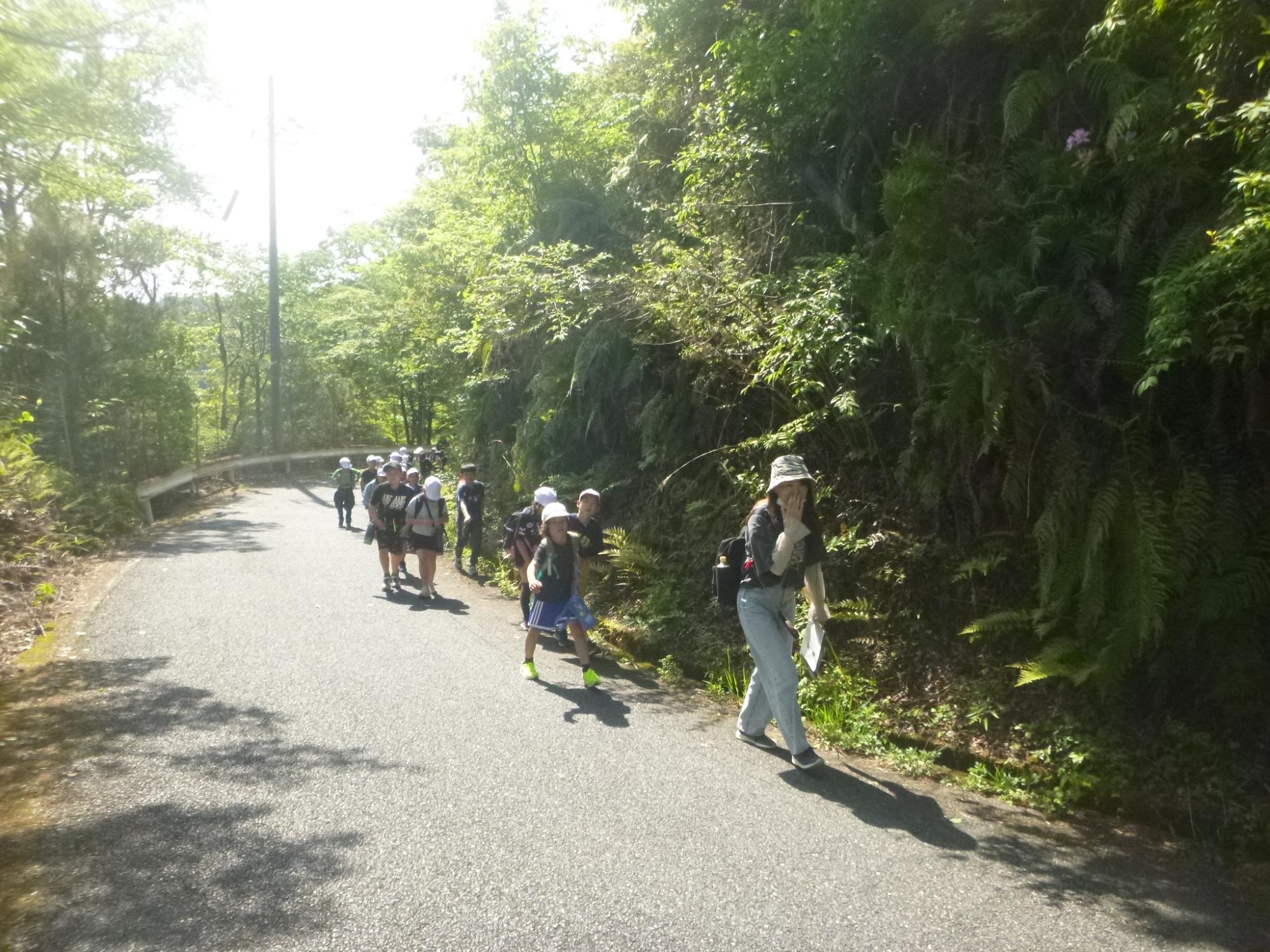 峠道を元気に上っていきます