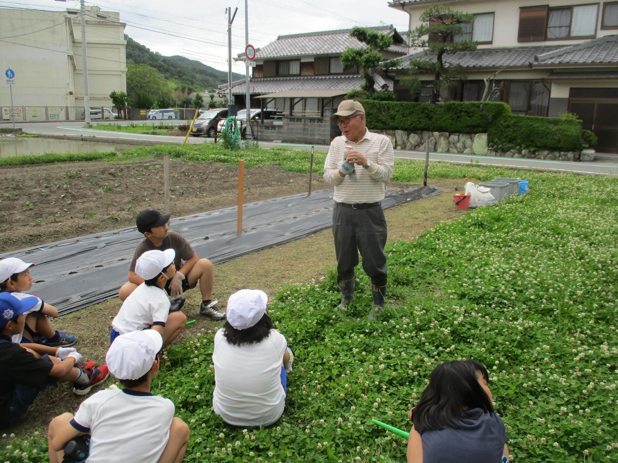 金ごまのあれこれを聞いています