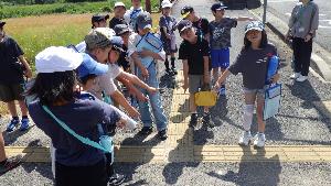 点字ブロックを見ている様子