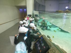 見学している様子