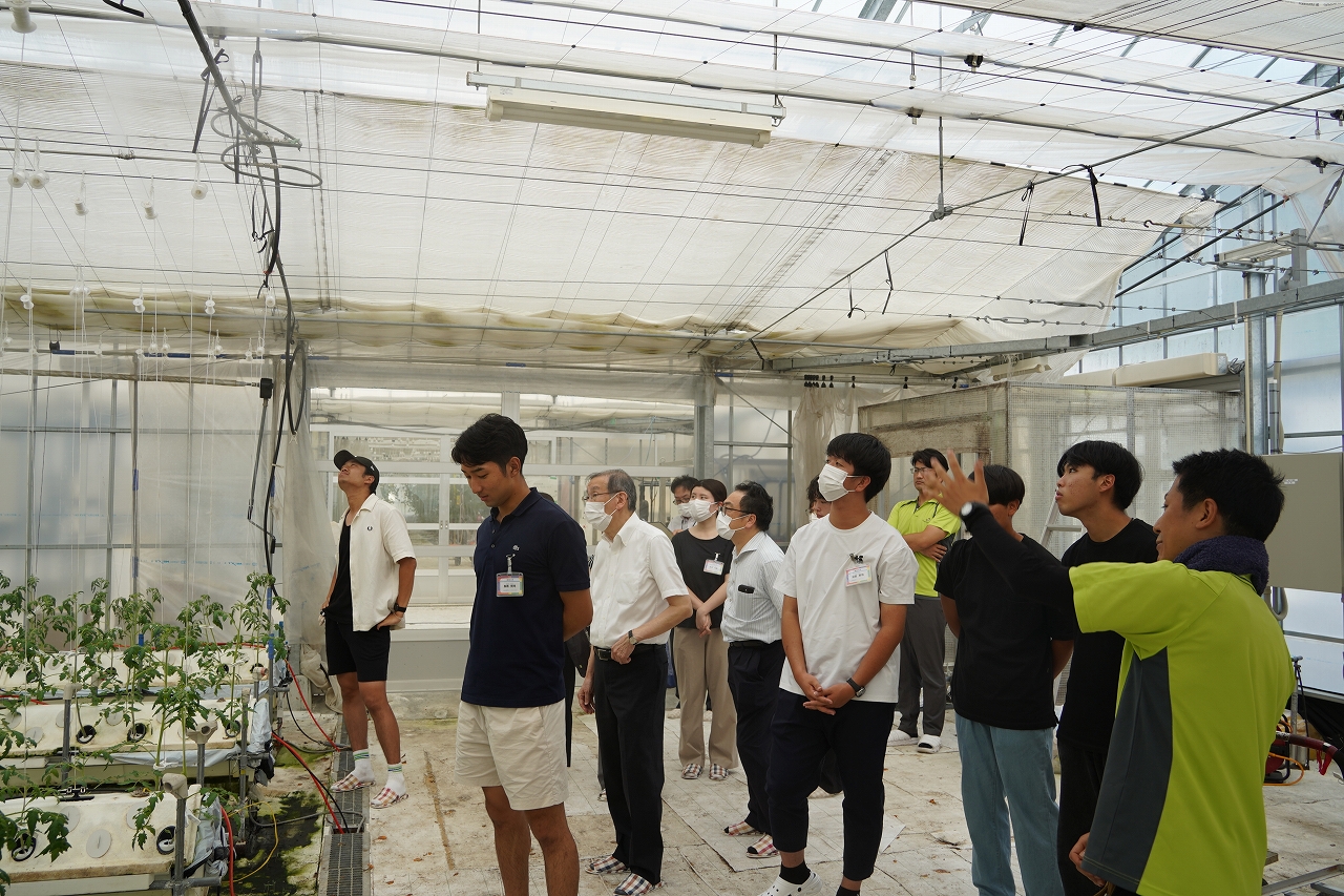 霧のトマトのビニールハウスを見学