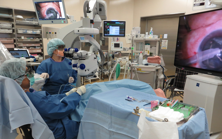 眼科オペ