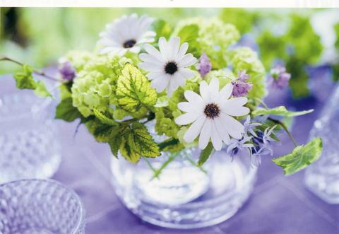 アロマテラピー効果のある花