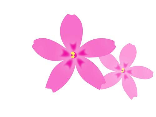 桜の花びらのイラスト1