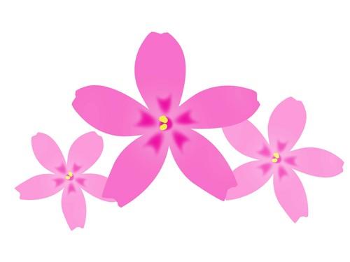 桜の花びらのイラスト2