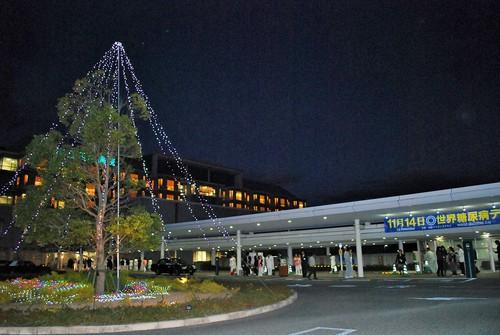 ライトアップされたイルミネーション