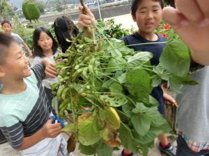 いっぱい実がある