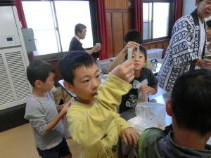 キッコーマンキンは緑