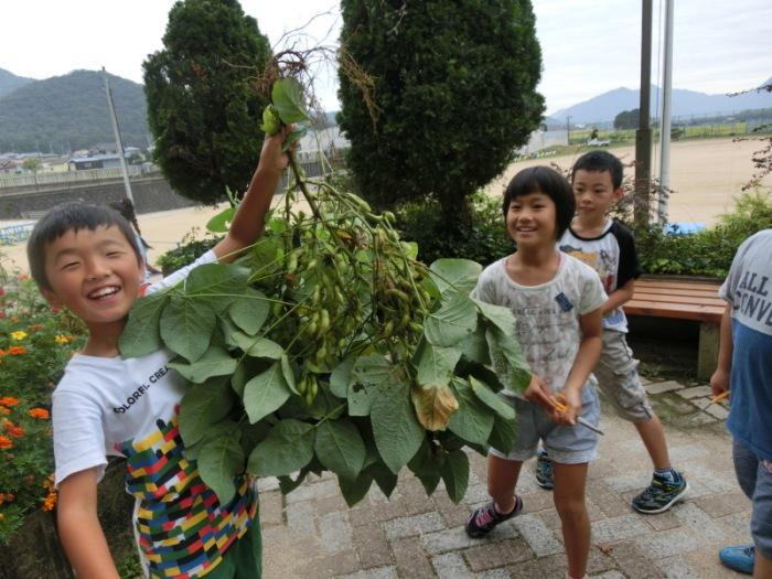 見てみてこんなに