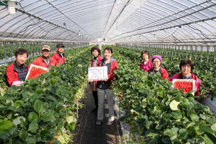 市制20周年記念カウントダウンフォト