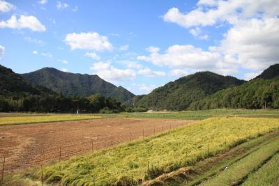 黒田庄の田園風景