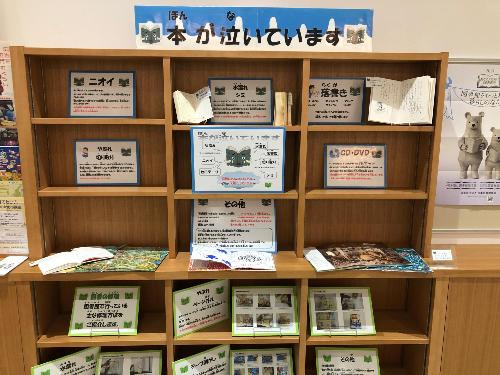 6月おすすめ特集