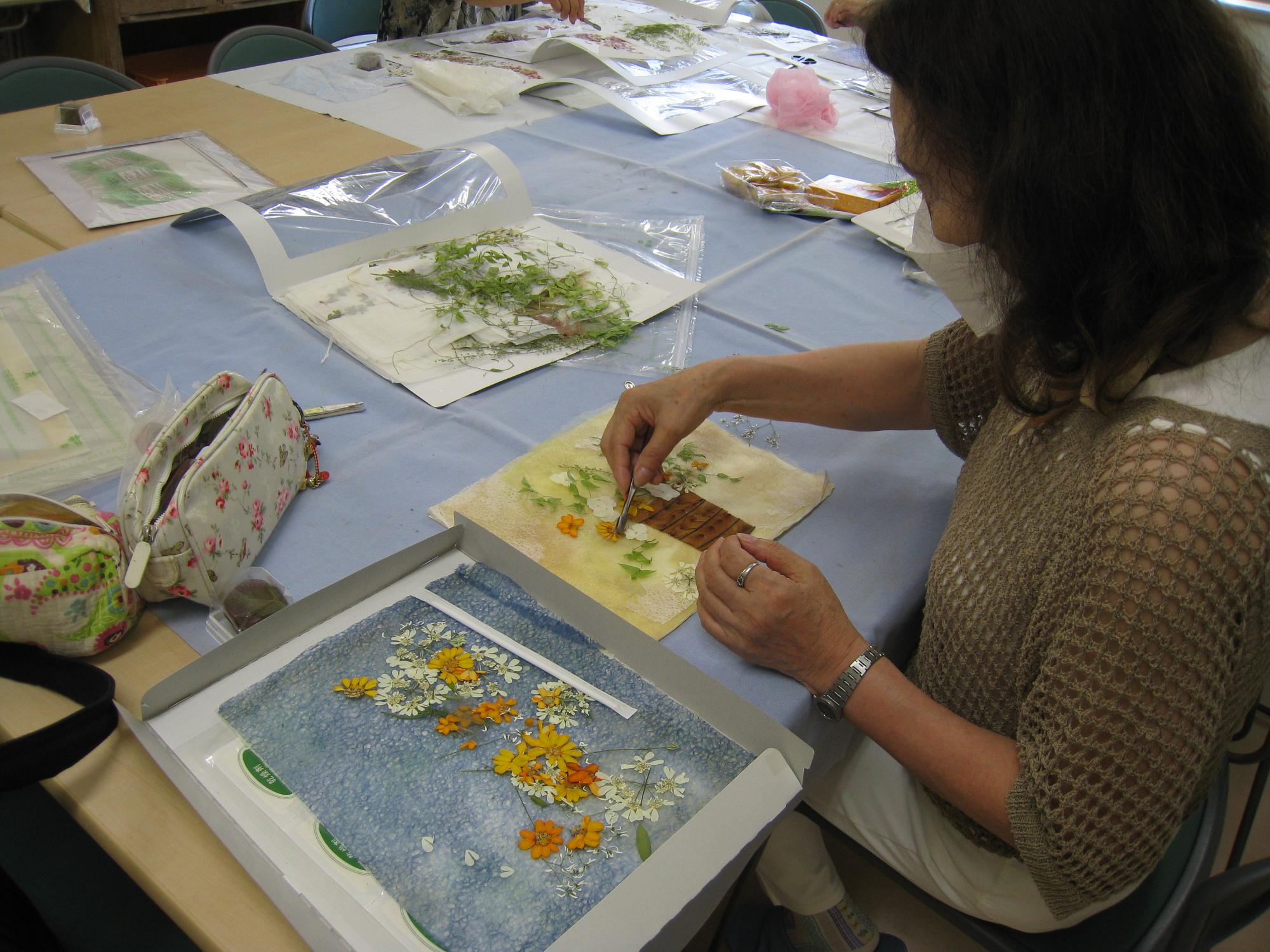 押し花教室（サークル）押し花の様子
