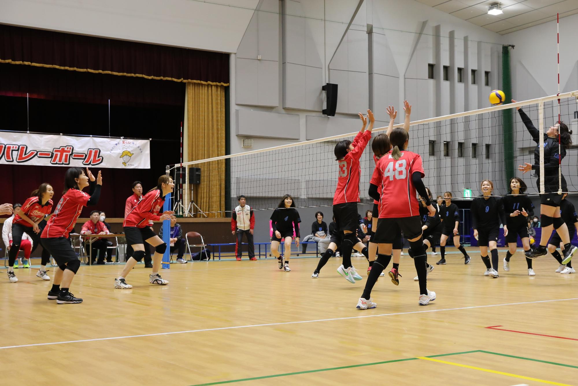 ドリームバレーボール