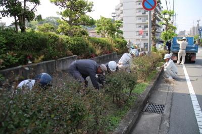 29年6月1日奉仕作業