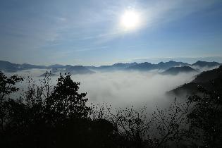 矢筈山から望む雲海