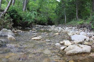 門柳山が育む天然水。清らかな水を守るためにも、SDGsの推進を