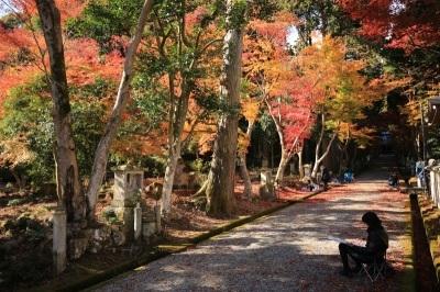 29年11月19日スケッチ大会