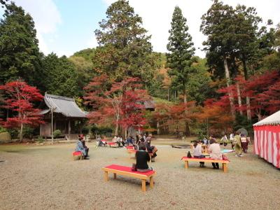 29年11月19日照楓会