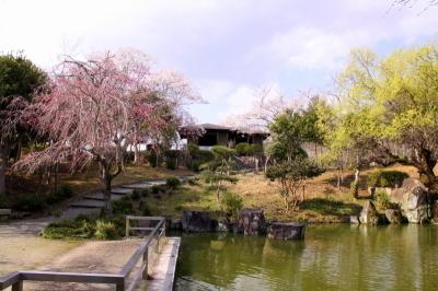Dojiyama Park