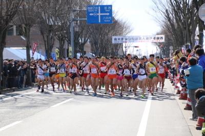 28年2月21日新人駅伝男子スタート