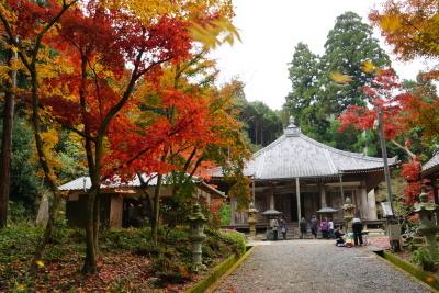 28年11月20日照楓会