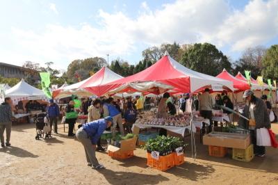 29年11月11日農業祭