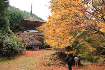 紅葉に包まれた荘厳寺多宝塔