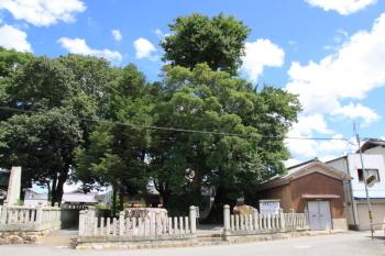 荒神の森に祭られている荒神さん
