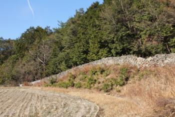 集落を囲むように築かれたシシガキ