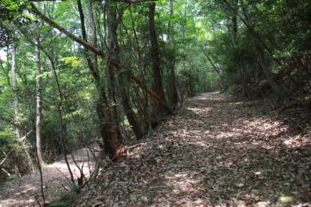 つづら折りの山道
