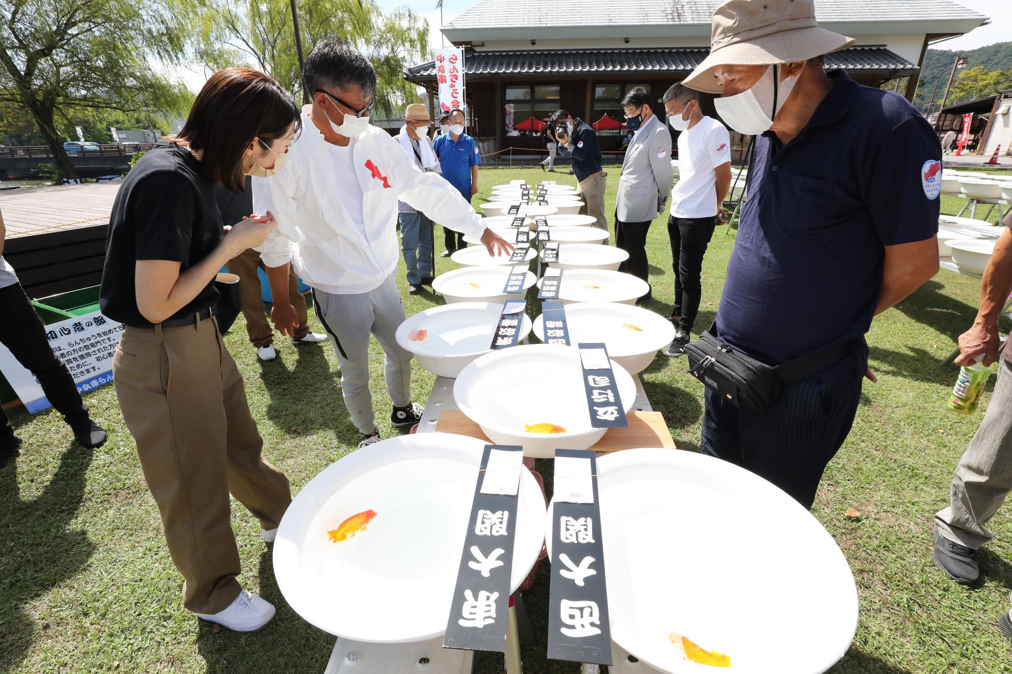 らんちゅう品評会の様子
