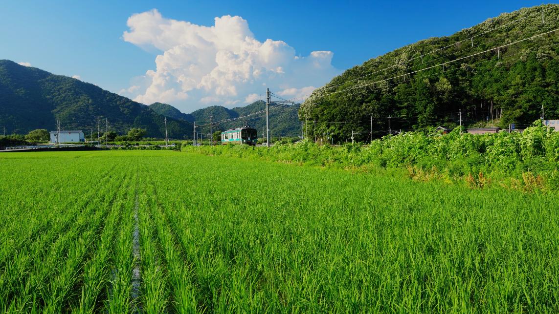 夏の風景