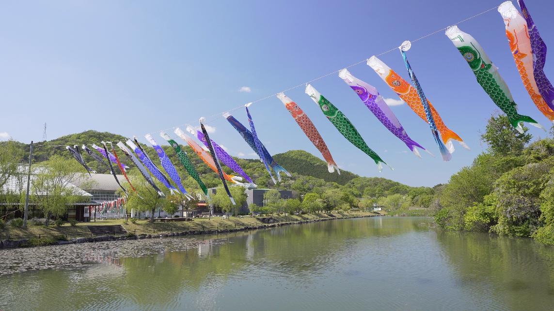 天神池のこいのぼり