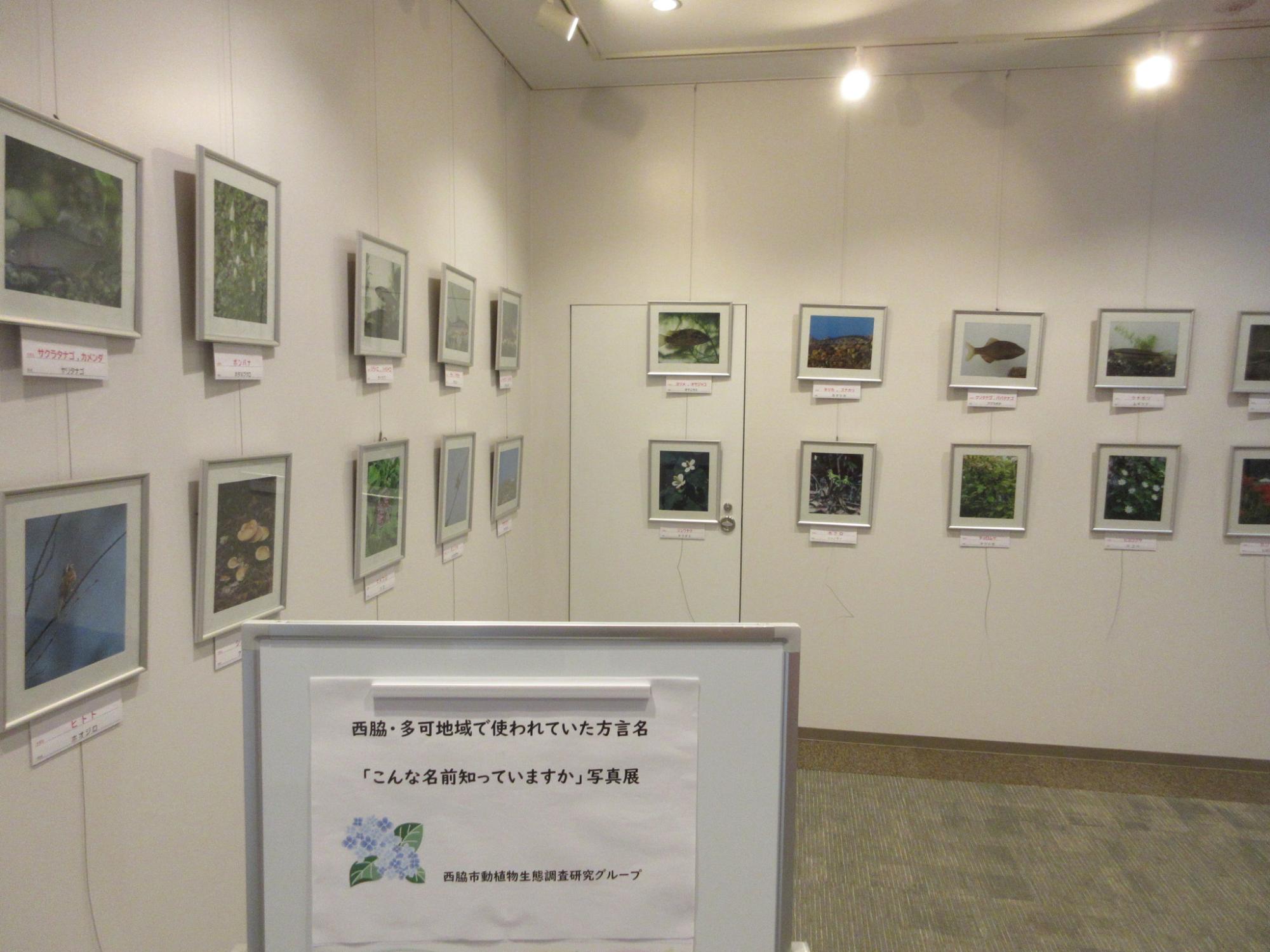 茜が丘複合施設Miraieギャラリー