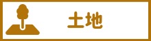 土地