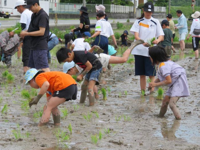 みんなで田植え