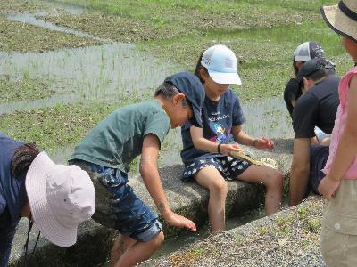 用水路で泥落とし
