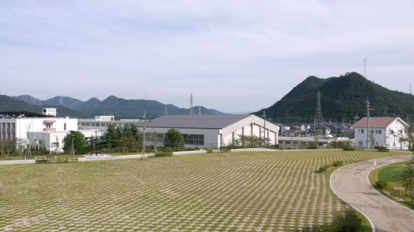 芝生広場の写真