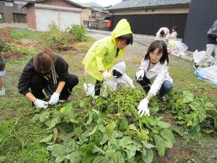 枝から豆のさやを外す子どもと母と祖母