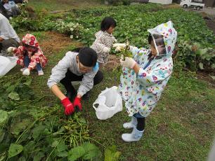 枝からさやを外している子どもと母