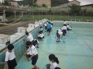 平成30年度プール掃除2