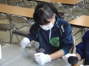 平成30年度トライやる2