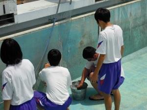 プール掃除2