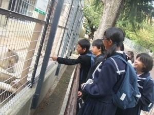 わくわくオーケストラ3