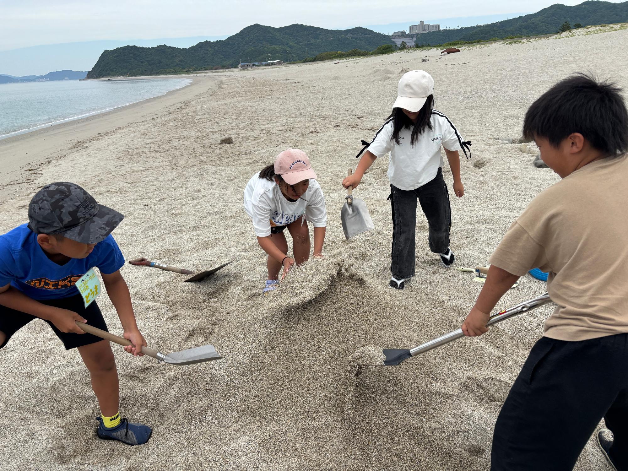 shizen3